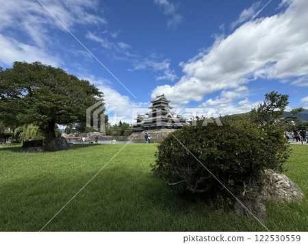 Japanese Castle: Matsumoto Castle 122530559