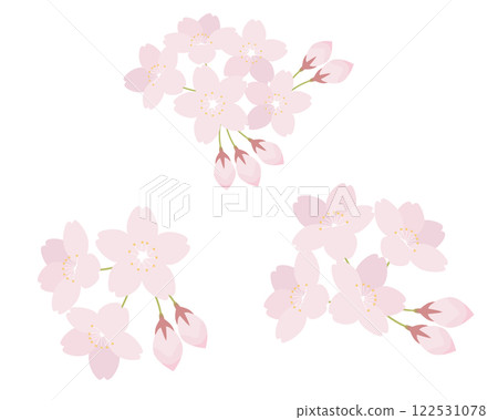Cherry blossom illustration set: Sakura, Yoshino cherry blossom 122531078