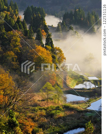 Tokamachi in autumn: Morning mist and the morning sunshine on the terraced rice fields of Kamo create a fantastic scene Tokamachi in autumn: Morning mist and the morning sunshine on the terraced rice fields of Kamo create a fantastic scene 122531116