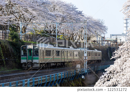 霞城公園的櫻花與奧羽本線701系列 122531272