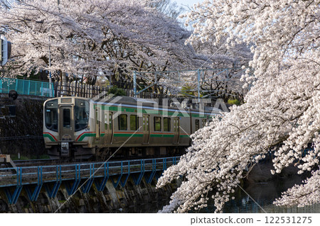 霞城公園的櫻花與仙山線E721系列 122531275