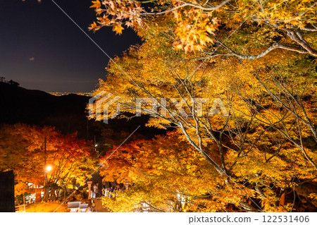 <神奈川縣>大山阿夫利神社的紅葉彩燈 122531406