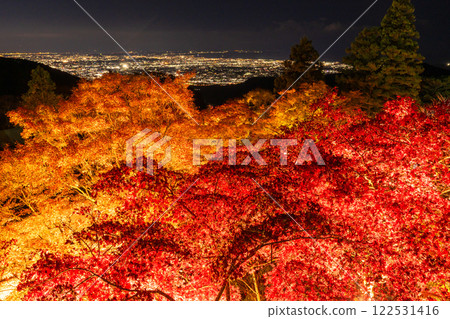 <Kanagawa Prefecture> Autumn leaves illumination at Oyama Afuri Shrine 122531416