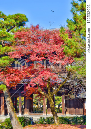 Autumn leaves of Kenninji Autumn leaves of Kenninji 122532001