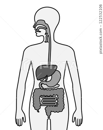 人體消化系統 人體消化系統 122532106