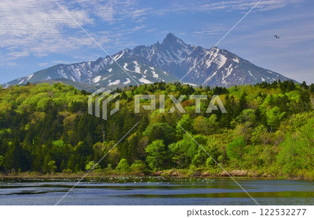 Mount Rishiri in early summer against the blue sky Mount Rishiri in early summer against the blue sky 122532277