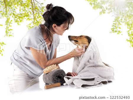 Shetland Sheepdog and woman in studio Shetland Sheepdog and woman in studio 122532493