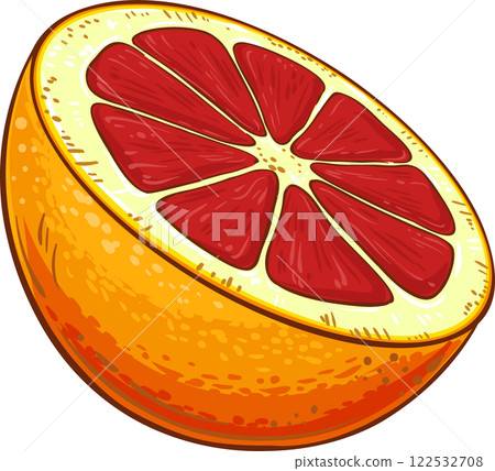Blood Orange  Fruit  Colored Detailed Illustration 122532708