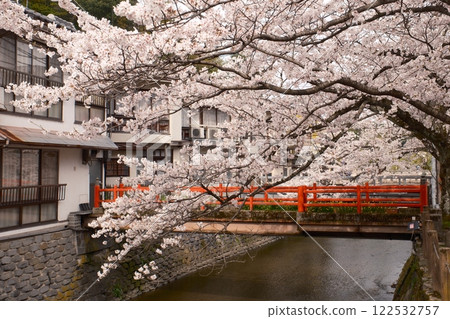 Cherry blossoms in Kinosaki Onsen town 122532757