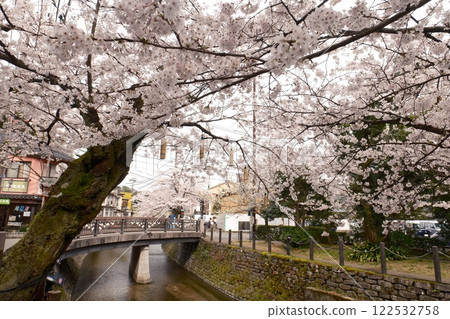 Cherry blossoms in Kinosaki Onsen town 122532758