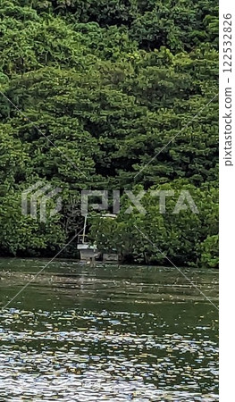 一艘船在綠地間航行 一艘船在綠地間航行 122532826