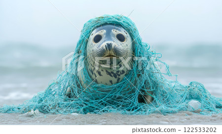 Close up photo of a harbour seal entangled in fishing net in water. Plastic net that kills marine animals. Pollution on marine environments, wildlife. 122533202