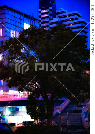 A tree standing in the city at night 122533301