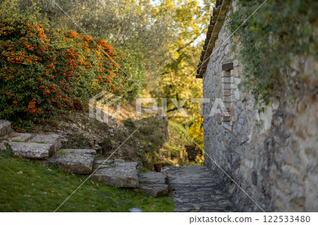 Stone Pathway and Vibrant Autumn Bush Stone Pathway and Vibrant Autumn Bush 122533480
