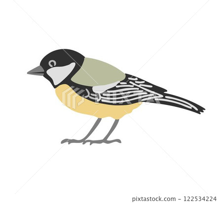 Little forest tit bird on white background Little forest tit bird on white background 122534224