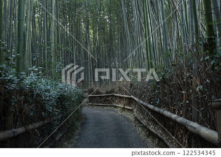 Arashiyama Arashiyama 122534345