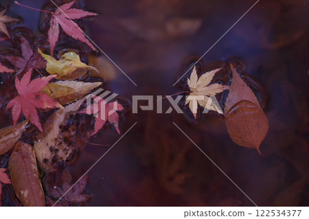 奈良縣明日香村明日香川的紅葉 122534377