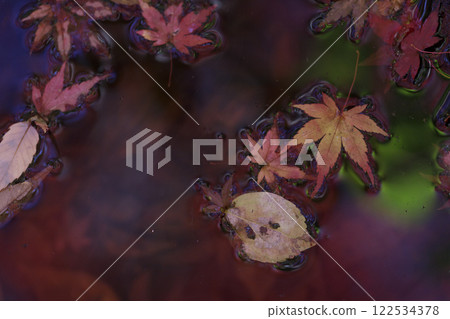 奈良縣明日香村明日香川的紅葉 奈良縣明日香村明日香川的紅葉 122534378