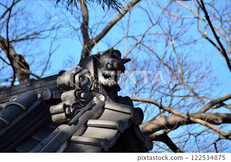 Visiting Benzai Itsukushima Shrine in Benzai, Kumagaya City, Saitama Prefecture in the Year of the Snake 122534875