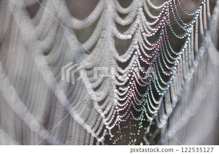 A close-up of a spider web shining with water droplets 122535127