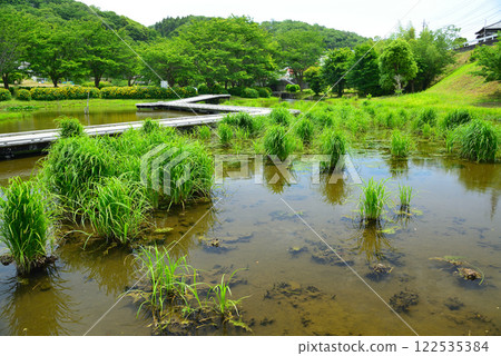 Itsukushima Wetlands Park, where fresh water springs forth 122535384