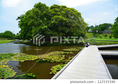 Itsukushima Wetlands Park, where fresh water springs forth Itsukushima Wetlands Park, where fresh water springs forth 122535390