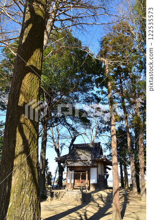 蛇年參拜埼玉縣熊谷市剛齋嚴島神社 122535573