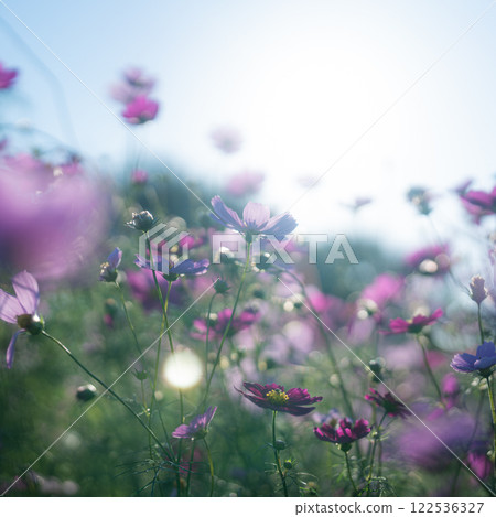 太陽和宇宙 太陽和宇宙 122536327