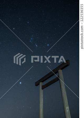 Starry sky torii gate 122536355