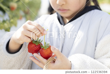 享受草莓狩獵的女孩 122536394