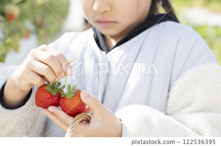 享受草莓狩獵的女孩 122536395