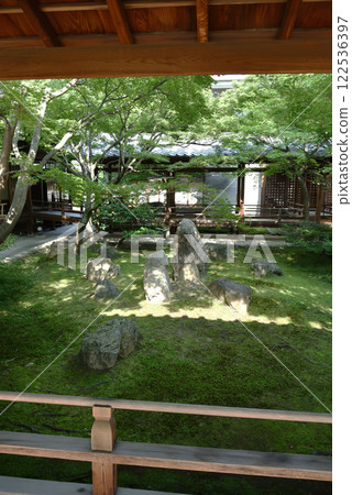 建仁寺、初夏、紫苑庭園（京都市東山區） 122536397