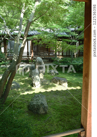 建仁寺、初夏、紫苑庭園(京都市東山區) 建仁寺、初夏、紫苑庭園(京都市東山區) 122536398