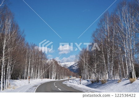 冬季的北海道273號國道：一條貫穿白樺原始林的道路 122536422