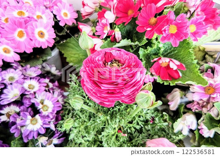 Colorful vibrant flowers Colorful vibrant flowers 122536581