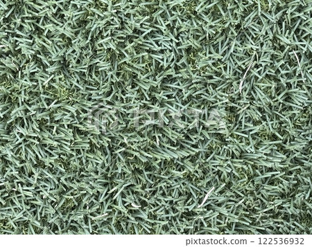 人造草皮地面特寫 人造草皮地面特寫 122536932