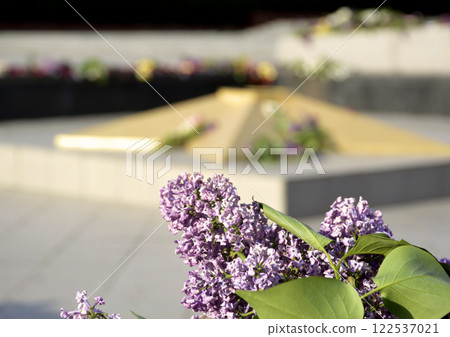 lilac flowers near the eternal flame at the Glory Memorial 122537021