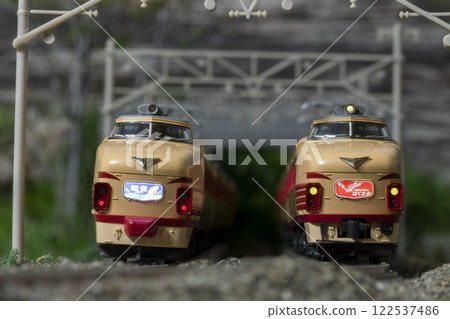 Railway model N gauge 489 series express Noto Hakukata 01 122537486