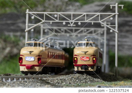 鐵道模型 N 規格 489 系列特快能登特快白方 06 鐵道模型 N 規格 489 系列特快能登特快白方 06 122537524