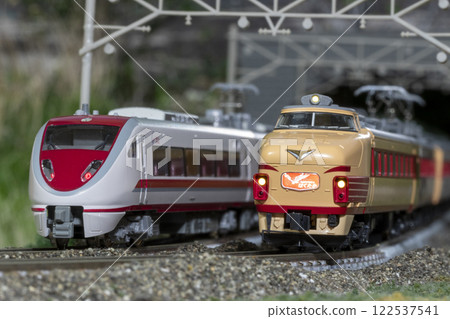 Railway model N gauge 489/683 series Hakutaka express train 06 Railway model N gauge 489/683 series Hakutaka express train 06 122537541