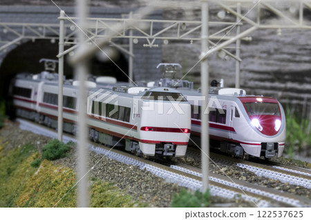 Railway model N gauge 683 series Hakutaka express 19 122537625