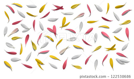 Shaded background material of colorful gerberas Shaded background material of colorful gerberas 122538686