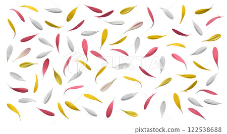 Gorgeous background material made from cut-outs of colorful gerberas 122538688