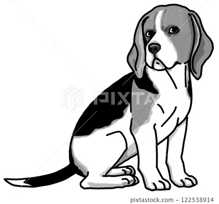 比格犬，黑白，透明背景，狗插圖 122538914