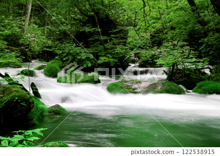 初夏的奧入瀨溪谷(青森縣十和田市) 初夏的奧入瀨溪谷(青森縣十和田市) 122538915
