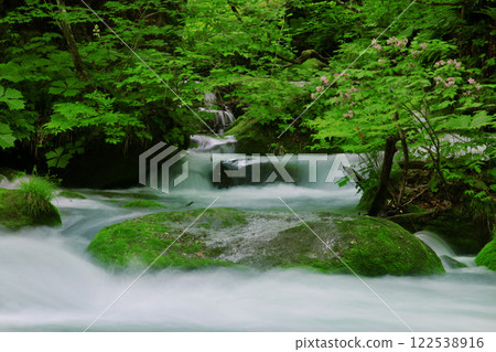 初夏的奧入瀨溪谷（青森縣十和田市） 122538916