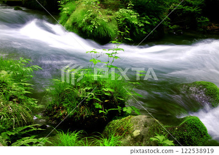 初夏的奧入瀨溪谷（青森縣十和田市） 122538919