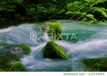 初夏的奧入瀨溪谷(青森縣十和田市) 初夏的奧入瀨溪谷(青森縣十和田市) 122538920