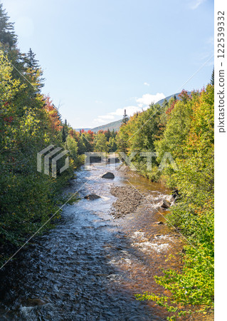 Scenic Zealand River in New Hampshire Flowing Through Lush Green Forest. 122539332