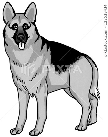德國牧羊犬,黑白,透明背景,狗狗插圖 德國牧羊犬,黑白,透明背景,狗狗插圖 122539434